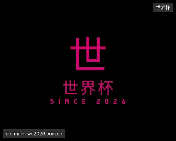 介绍世界杯团队